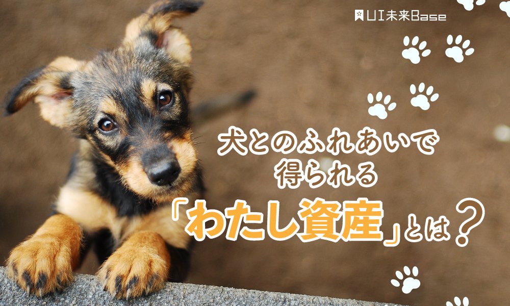 犬とのふれあいで得られる「わたし資産」とは？ペットを飼えなくても犬とふれあうことはできる！