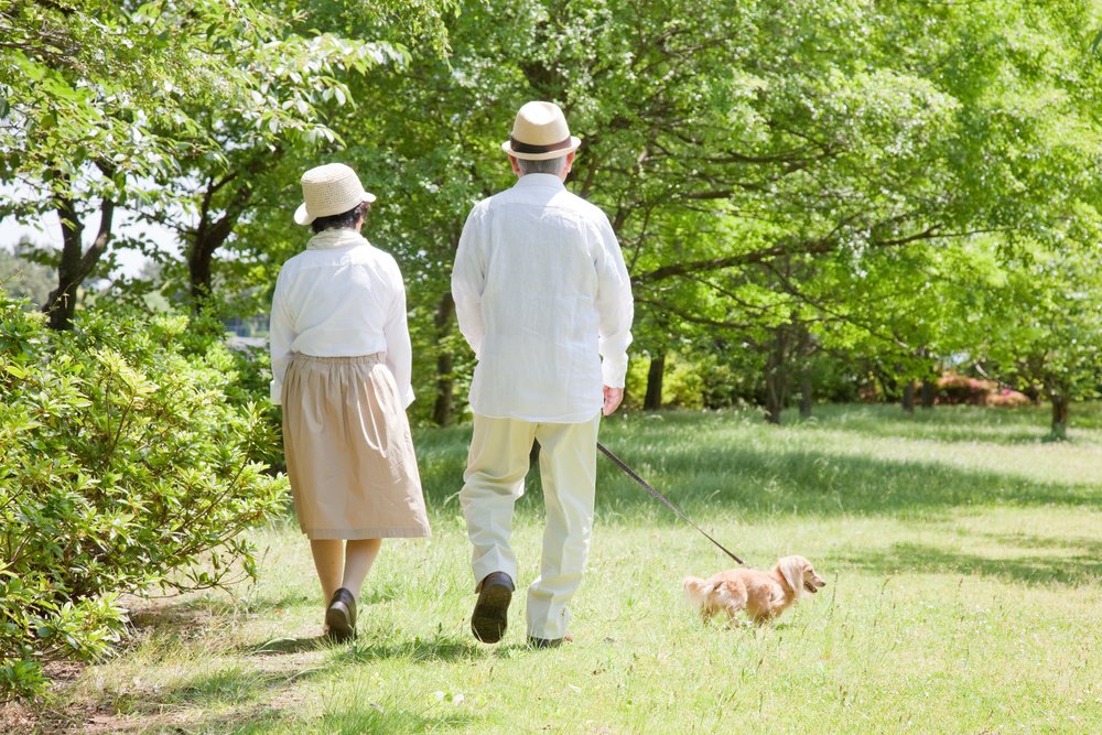 100-million-yen-retirement-lifestyle_4.jpeg