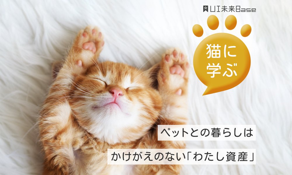 猫に学ぶ！ペットとの暮らしはかけがえのない「わたし資産」