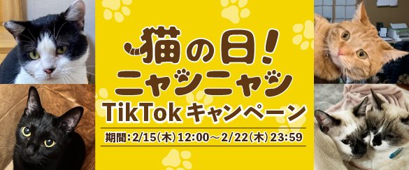 猫の日！にゃんにゃんTikTokキャンペーン