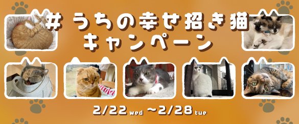 うちの幸せ招き猫 キャンペーン開始のお知らせ｜1周年記念特設ページ